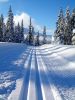 Paysage de Norv�ge