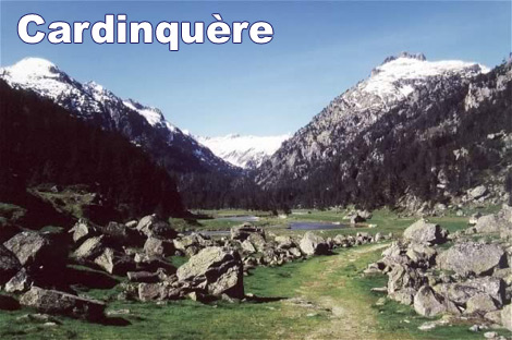 La Cardinquère