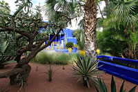 Balade dans le Jardin Majorelle à Marrakech