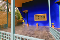 Balade dans le Jardin Majorelle à Marrakech