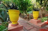 Balade dans le Jardin Majorelle à Marrakech