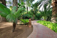 Balade dans le Jardin Majorelle à Marrakech