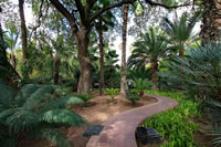 Balade dans le Jardin Majorelle à Marrakech