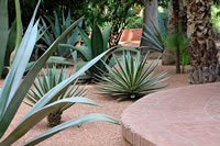 Balade dans le Jardin Majorelle à Marrakech