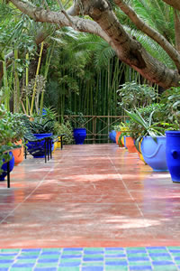 Balade dans le Jardin Majorelle à Marrakech