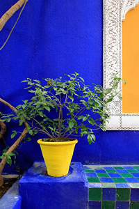 Balade dans le Jardin Majorelle à Marrakech