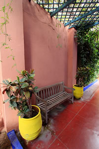 Balade dans le Jardin Majorelle à Marrakech