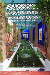 Balade dans le Jardin Majorelle à Marrakech