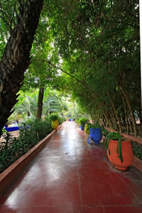Balade dans le Jardin Majorelle à Marrakech
