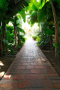 Balade dans le Jardin Majorelle à Marrakech