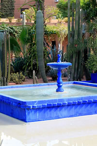 Balade dans le Jardin Majorelle à Marrakech