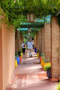 Balade dans le Jardin Majorelle à Marrakech