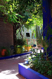 Balade dans le Jardin Majorelle à Marrakech