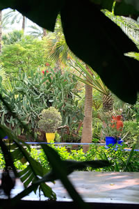 Balade dans le Jardin Majorelle à Marrakech