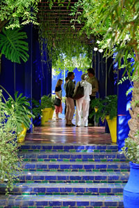 Balade dans le Jardin Majorelle à Marrakech