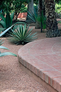Balade dans le Jardin Majorelle à Marrakech