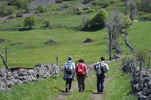 Randonnée sur le GR 65 en Aveyron