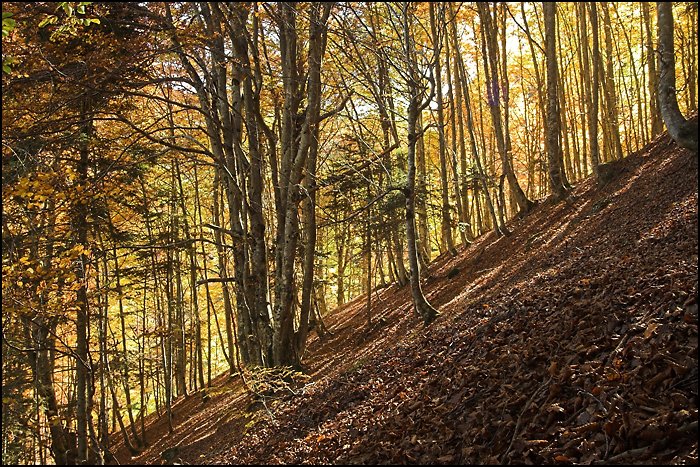 Pyr&eacute;n&eacute;es Attitude.com