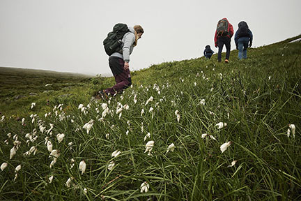 Actualit&eacute; : Pantalon Hagl�fs 22 Fit for the Outside