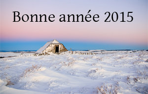 Actualit&eacute; : Bonne ann�e 2015