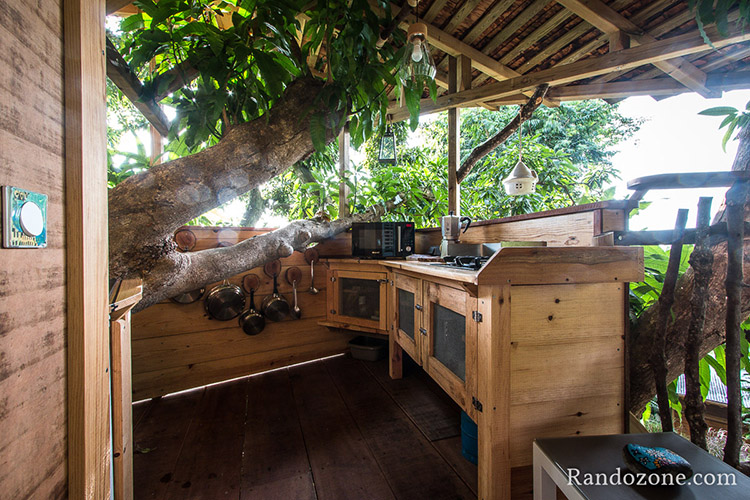 Bananes Vertes en Guadeloupe