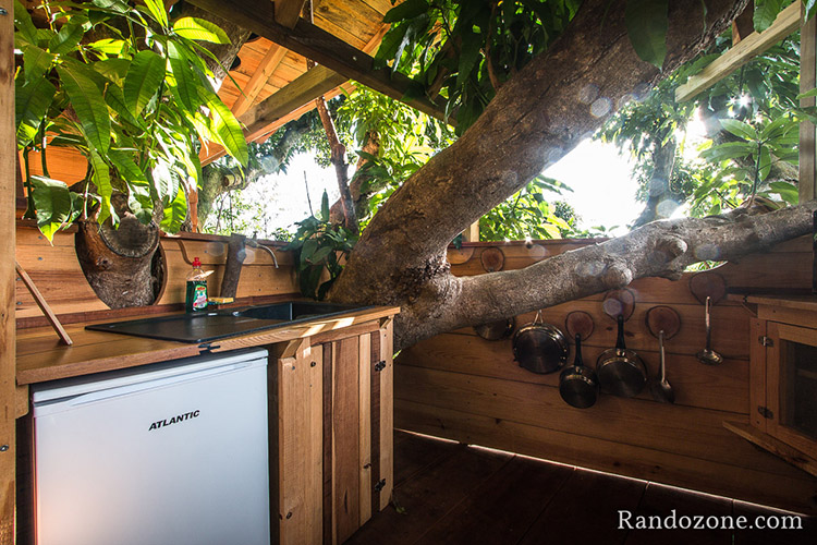 Bananes Vertes en Guadeloupe