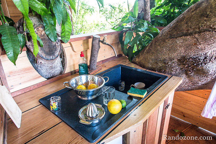 Bananes Vertes en Guadeloupe