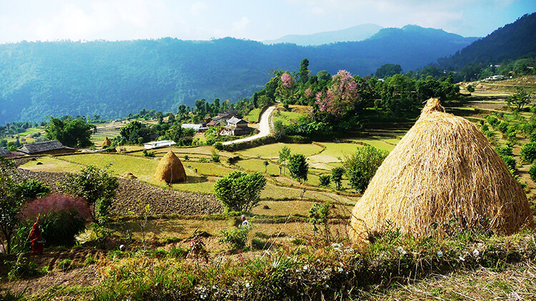 Happy Nepal Trek