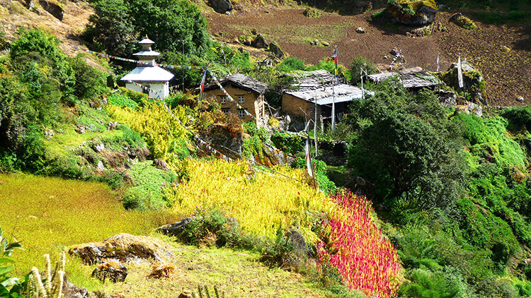 Happy Nepal Trek