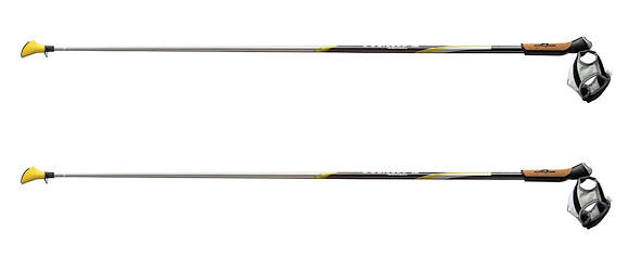 Batons de marche nordique