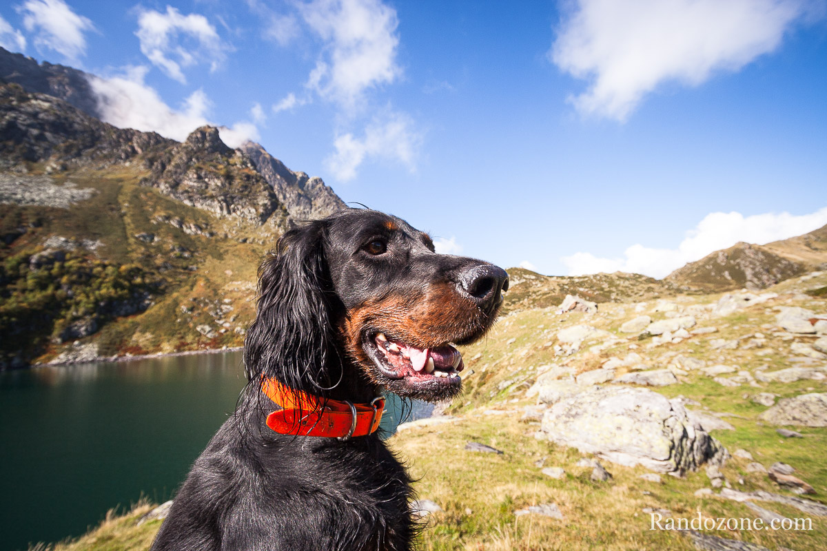 Les vacances en Pays basque avec un chien