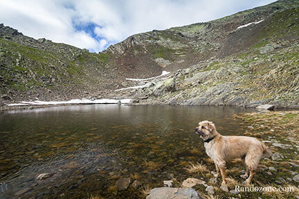 Randonner avec son chien dans les Pyrnes