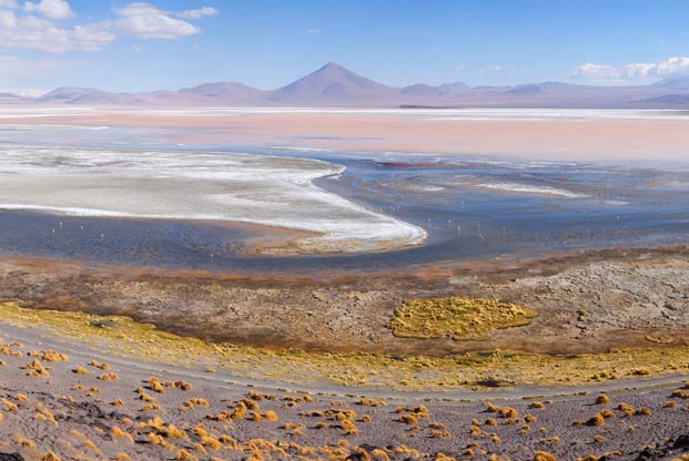 Du désert d'Atacama au Salar d'Uyuni