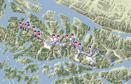 Sur le fil de Darwin