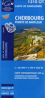 Carte IGN Top 25 n1310 OT