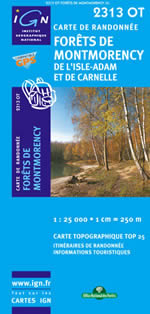 Carte IGN Top 25 n2313 OT