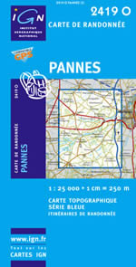 Carte IGN Top 25 n2419 OT