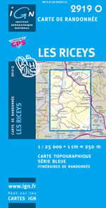 Carte IGN Top 25 n2919 OT