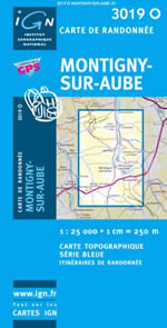 Carte IGN Top 25 n3019 OT