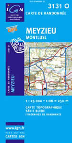 Carte IGN Top 25 n3131 OT