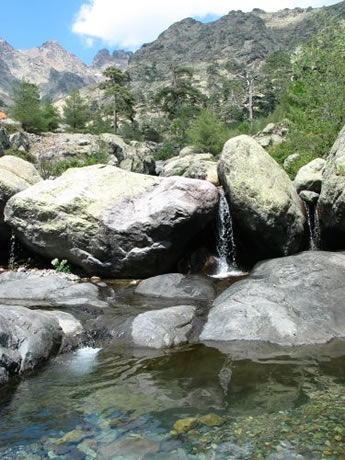 Les vasques