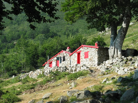 Bergeries