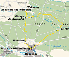 Sentier du gros chne