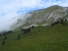 Grande Sure - boucle par les cols de la Grande Vache et de la Petite Vache