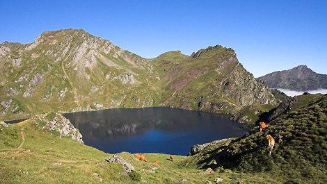 Lac Bleu de Lesponne
