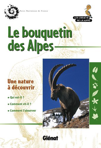 Le bouquetin des Alpes