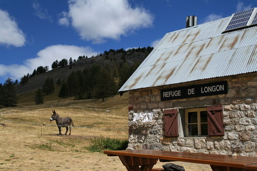 Image Panoramio