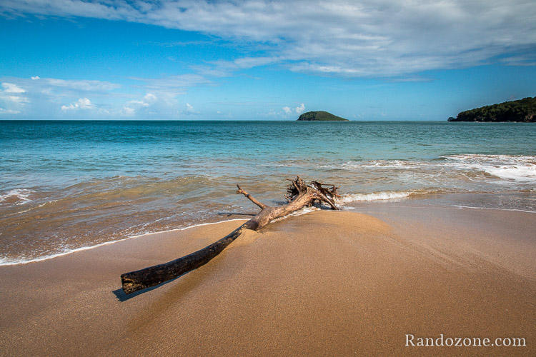 Plage près de Deshaies