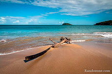 Le meilleur moment pour randonner en Guadeloupe