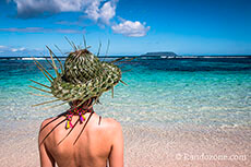 Visiter la Guadeloupe en 2 semaines